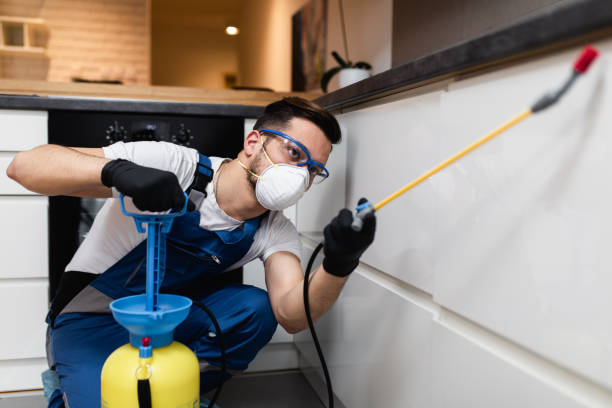 Best Mosquito Control Services  in Hayesville, OR