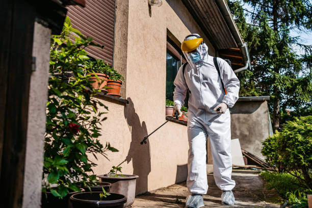 Best Emergency Pest Control  in Hayesville, OR