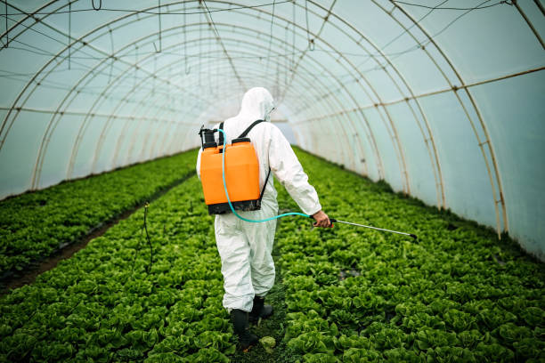 Best Local Pest Control Services  in Hayesville, OR
