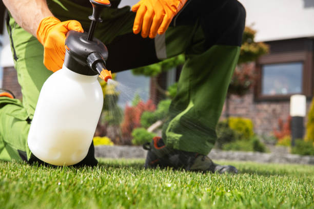 Best Flea Control Services  in Hayesville, OR