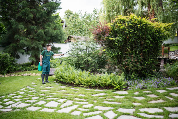 Best Wildlife Control Services  in Hayesville, OR