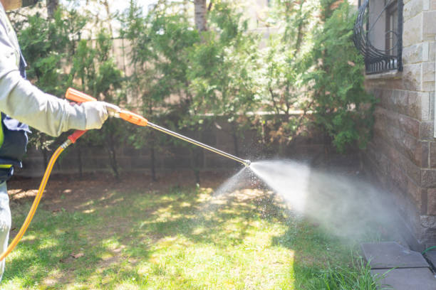 Best Best Pest Control Companies  in Hayesville, OR