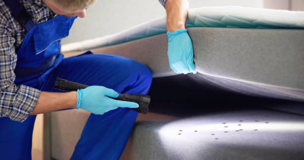 Best Best Pest Control Near Me  in Hayesville, OR