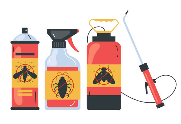 Trusted Hayesville, OR Pest Control Experts