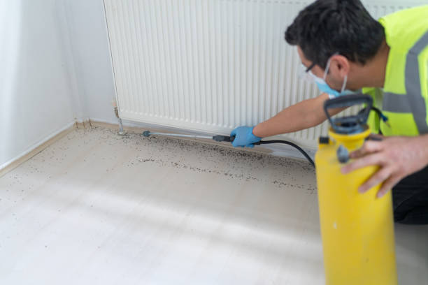 Best Exterminator Services  in Hayesville, OR