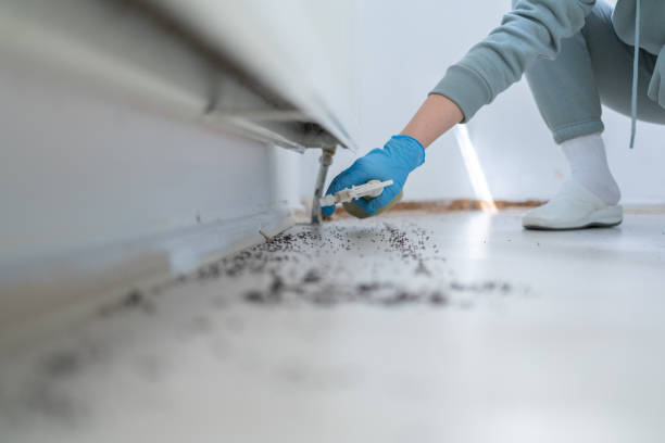  Hayesville, OR Pest Control Pros
